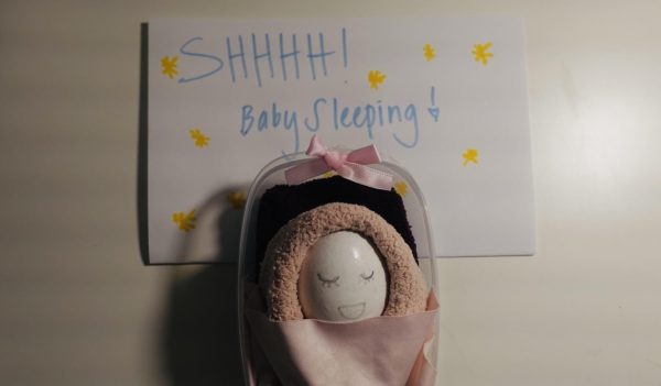 Health classes begin Egg Baby Project