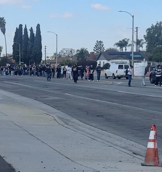 Students marching down Washington Blvd.