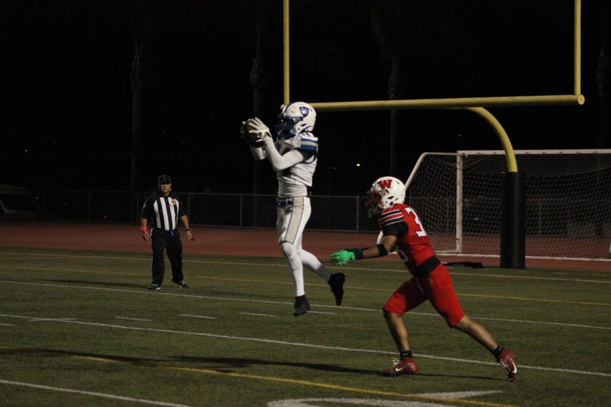 Reflecting on Dons football season