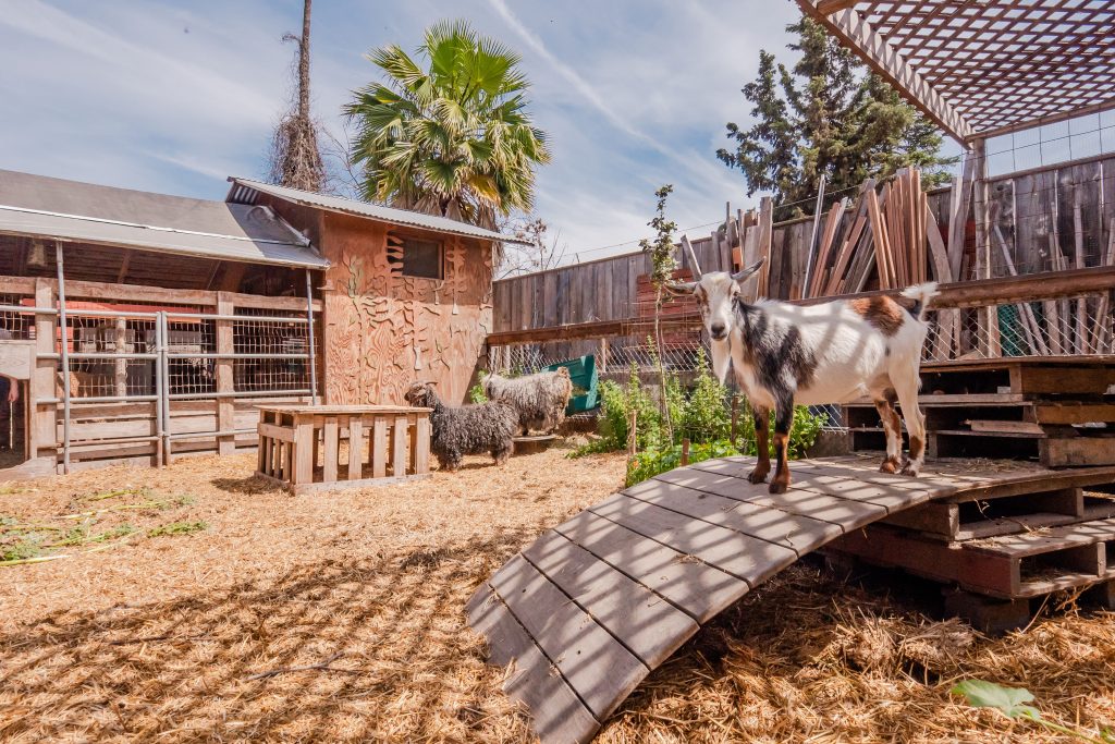 Rio Hondo Park Nature Program Plans fun trip to Moonwater Farm