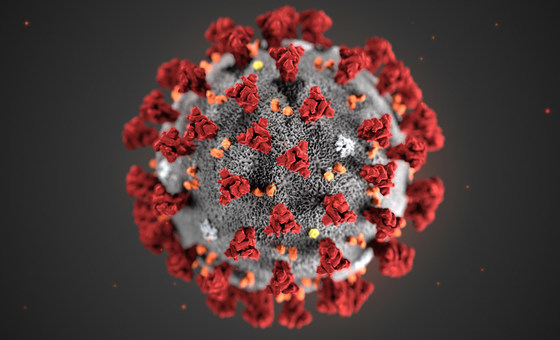 Six years ago today, COVID was declared Global Pandemic