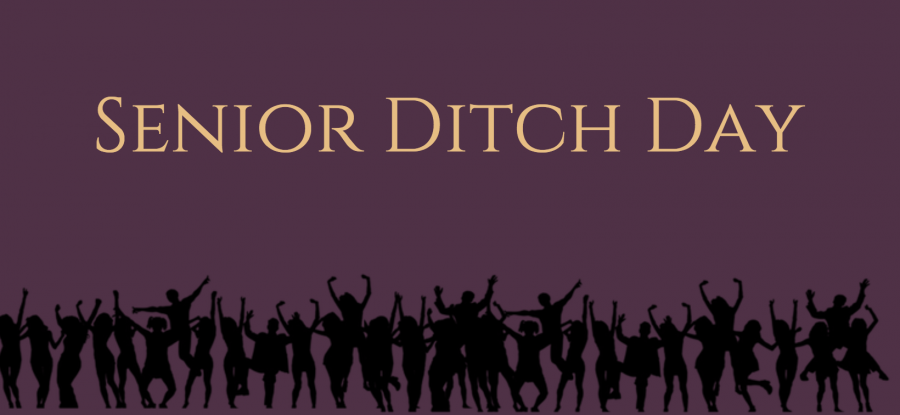 Ditch Day Diaries: How Seniors Plan to Spend Their Day Off