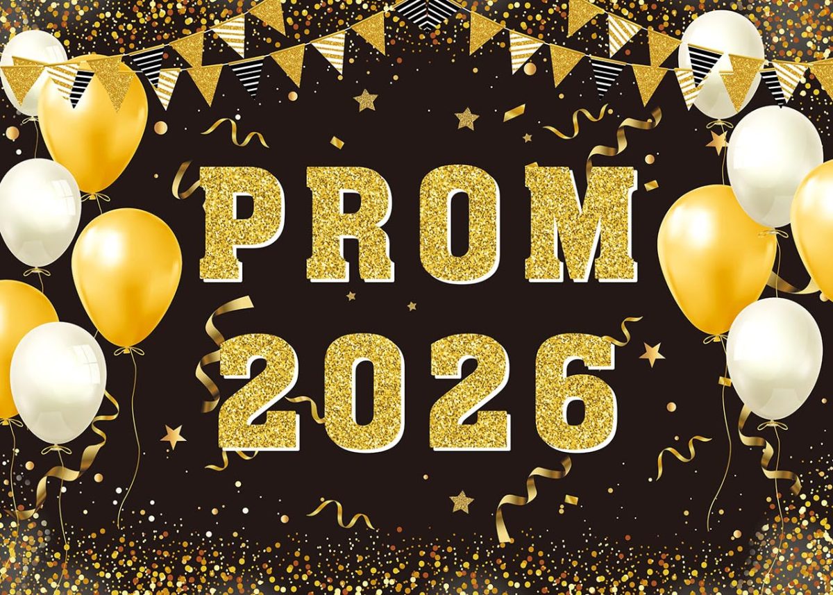 Asking seniors how their Prom went
